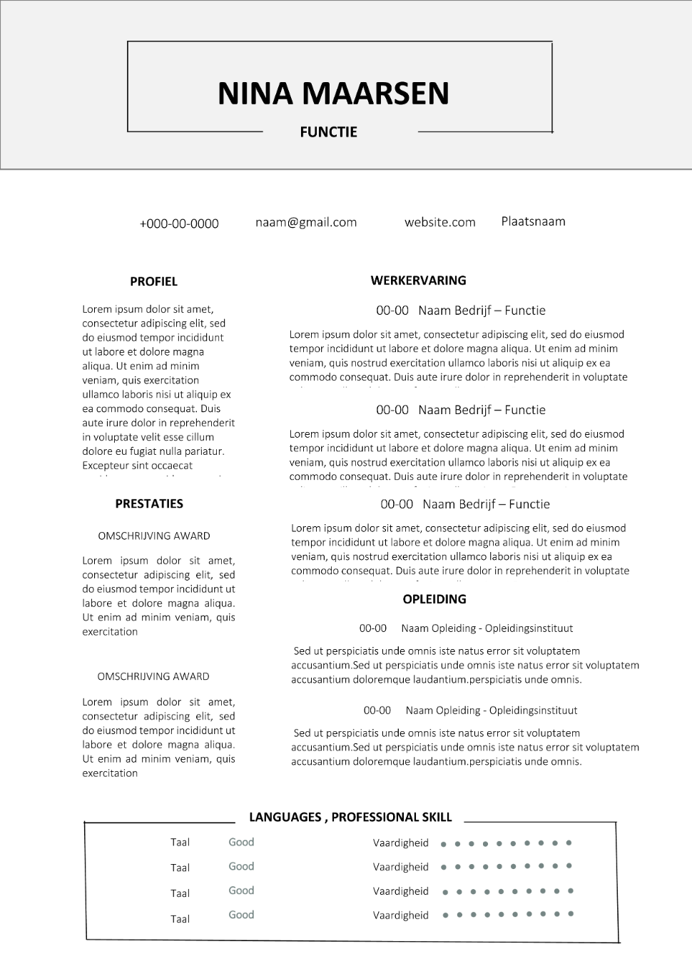 Cv Voorbeeld Word Professionele Gratis Cv Templates